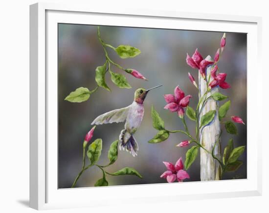 Hummingbird with Flowers-Sarah Davis-Framed Giclee Print