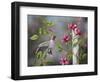 Hummingbird with Flowers-Sarah Davis-Framed Giclee Print