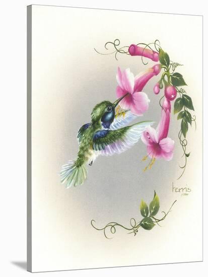 Hummingbird with Trumpet Flowers 2-Peggy Harris-Stretched Canvas