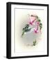 Hummingbird with Trumpet Flowers 2-Peggy Harris-Framed Giclee Print