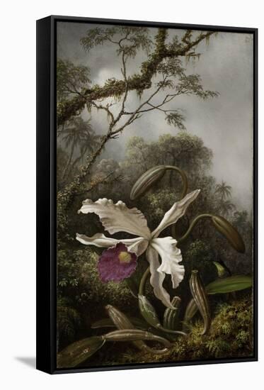 Hummingbird with White Orchid, 1875-1885-Martin Johnson Heade-Framed Stretched Canvas