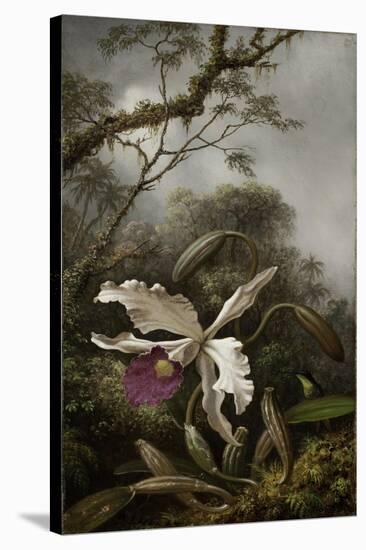 Hummingbird with White Orchid, 1875-1885-Martin Johnson Heade-Stretched Canvas