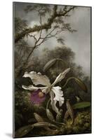 Hummingbird with White Orchid, 1875-1885-Martin Johnson Heade-Mounted Giclee Print