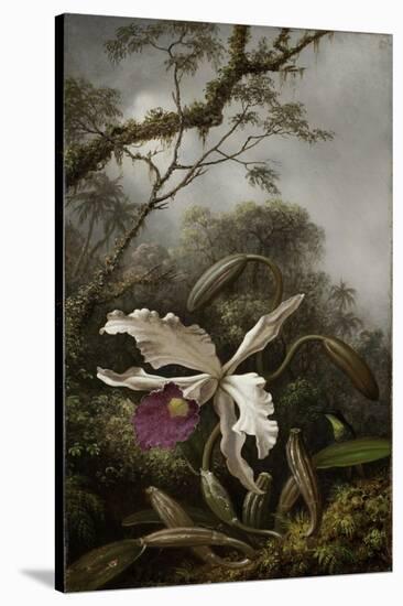 Hummingbird with White Orchid, 1875-1885-Martin Johnson Heade-Stretched Canvas