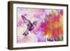 Hummingbird XVII-Fernando Palma-Framed Giclee Print