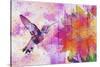 Hummingbird XVII-Fernando Palma-Stretched Canvas