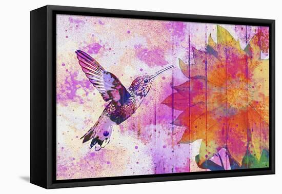 Hummingbird XVII-Fernando Palma-Framed Stretched Canvas