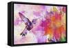 Hummingbird XVII-Fernando Palma-Framed Stretched Canvas
