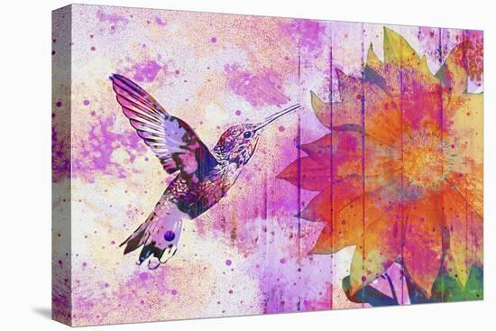 Hummingbird XVII-Fernando Palma-Stretched Canvas