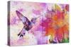 Hummingbird XVII-Fernando Palma-Stretched Canvas