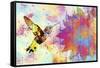 Hummingbird XVIII-Fernando Palma-Framed Stretched Canvas