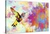 Hummingbird XVIII-Fernando Palma-Stretched Canvas