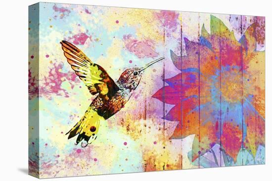 Hummingbird XVIII-Fernando Palma-Stretched Canvas