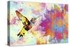 Hummingbird XVIII-Fernando Palma-Stretched Canvas