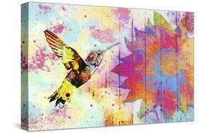 Hummingbird XVIII-Fernando Palma-Stretched Canvas