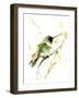 Hummingbird2-Suren Nersisyan-Framed Art Print