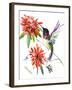 Hummingbird-Suren Nersisyan-Framed Art Print