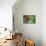 Hummingbird-null-Mounted Photographic Print displayed on a wall