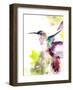 Hummingbird-CanotStop-Framed Art Print