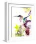 Hummingbird-CanotStop-Framed Art Print