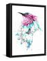 Hummingbird-Alexis Marcou-Framed Stretched Canvas