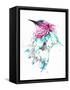 Hummingbird-Alexis Marcou-Framed Stretched Canvas