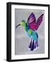 hummingbird-Artpoptart-Framed Giclee Print