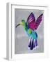 hummingbird-Artpoptart-Framed Giclee Print