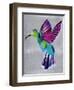 hummingbird-Artpoptart-Framed Premium Giclee Print