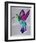 hummingbird-Artpoptart-Framed Premium Giclee Print