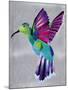 hummingbird-Artpoptart-Mounted Giclee Print