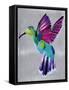 hummingbird-Artpoptart-Framed Stretched Canvas