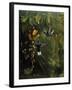 Hummingbird-Michael Jackson-Framed Giclee Print