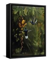 Hummingbird-Michael Jackson-Framed Stretched Canvas