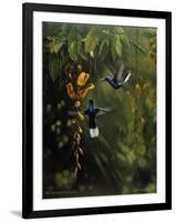 Hummingbird-Michael Jackson-Framed Giclee Print