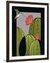 Hummingbird-Marie Sansone-Framed Premium Giclee Print