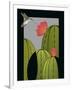 Hummingbird-Marie Sansone-Framed Premium Giclee Print