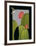 Hummingbird-Marie Sansone-Framed Giclee Print