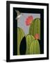 Hummingbird-Marie Sansone-Framed Giclee Print