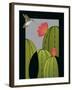 Hummingbird-Marie Sansone-Framed Giclee Print