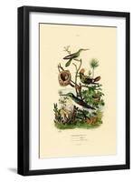 Hummingbirds, 1833-39-null-Framed Giclee Print