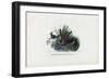 Hummingbirds, 1863-79-Raimundo Petraroja-Framed Giclee Print