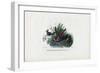 Hummingbirds, 1863-79-Raimundo Petraroja-Framed Giclee Print