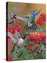 Hummingbirds and Flowers-William Vanderdasson-Stretched Canvas