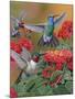 Hummingbirds and Flowers-William Vanderdasson-Mounted Giclee Print