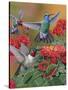 Hummingbirds and Flowers-William Vanderdasson-Stretched Canvas