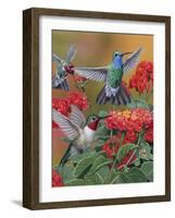 Hummingbirds and Flowers-William Vanderdasson-Framed Giclee Print