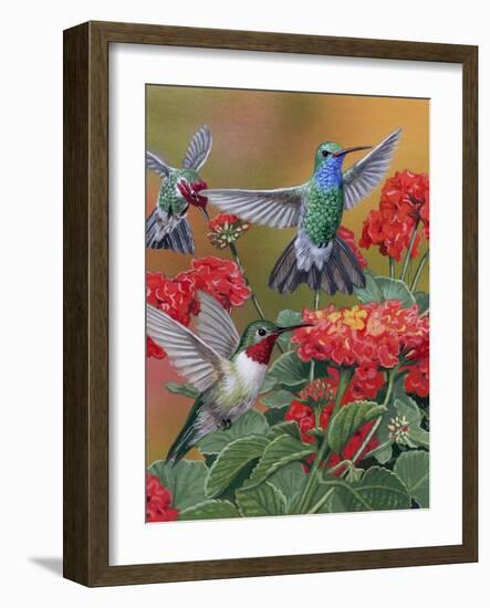 Hummingbirds and Flowers-William Vanderdasson-Framed Giclee Print