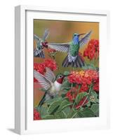 Hummingbirds and Flowers-William Vanderdasson-Framed Giclee Print