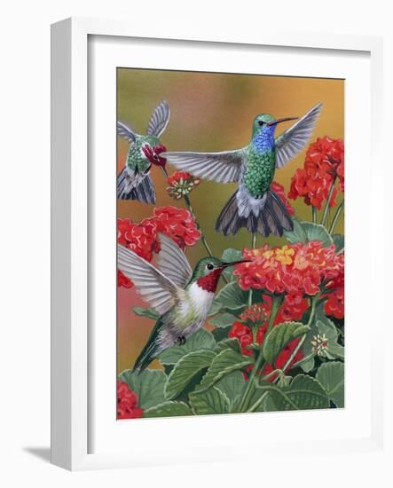 Hummingbirds and Flowers-William Vanderdasson-Framed Giclee Print